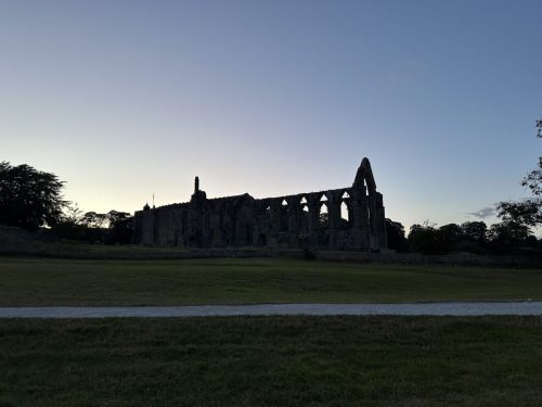 IMG_9110